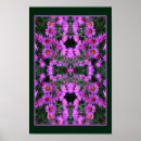 Search for aster posters Floral