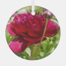 Search for peony christmas tree decorations Burgundy