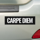 Search for modern typography bumper stickers quote