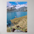 Search for antarctic posters Danita delimont