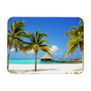 Search for maldives magnets Indian ocean