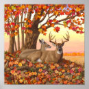 Search for fall colours posters Autumn