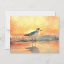 Search for landscape postcards Coast