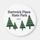 Search for pine magnets Nature