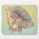 Search for conchs mouse mats Sea