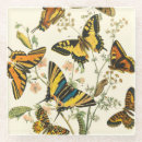 Search for caterpillar coasters Nature