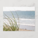 Search for backdrop postcards Beach