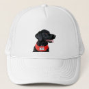 Search for animal friendly hats Dog