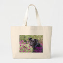 Search for monarchs accessories Animals