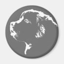 Search for newfoundlander magnets Dog