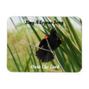 Search for backyard magnets Bird