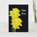 Search for daffodils thank you cards Flowers