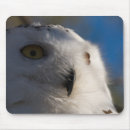 Search for snowy mouse mats Sky