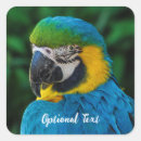 Search for macaw parrot stickers Bird