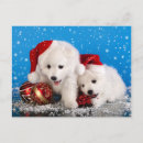 Search for white cat christmas cards Claus