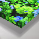 Search for vibrant canvas prints Garden