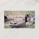 Search for goose business cards Bird