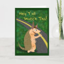 Search for armadillos cards Animal