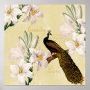 Search for white peacock art Flowers