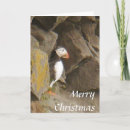 Search for iceland christmas cards Puffin