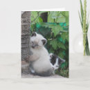 Search for tux kitten cards Feline