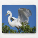 Search for florida mouse mats Egret