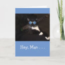 Search for cat guitar cards Funny