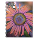 Search for orange sunflower notebooks Blue