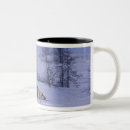 Search for tundra mugs Wildlife