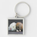 Search for extreme animals key rings Extreme close up