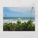 Search for oats postcards Sea
