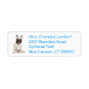 Search for french bulldogs return address labels French bulldog puppy