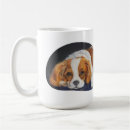 Search for dogs rule mugs Pet
