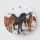Search for danita delimont clocks Herd