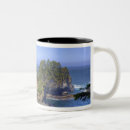 Search for jamie mugs Sea