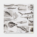 Search for zoology magnets Biology