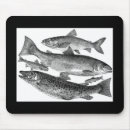 Search for school of fish electronics Fishing