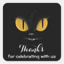 Search for black felines stickers Pet