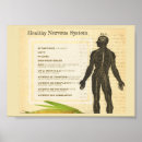 Search for nervous system posters Vintage