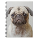 Search for pug notebooks Baby