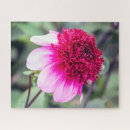 Search for dahlia puzzles Pink