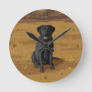 Search for black lab clocks Animals