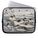 Search for homer electronics Bald eagle