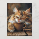 Search for cute postcards Kitty