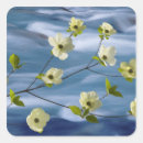 Search for gallery stickers White
