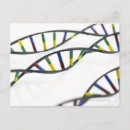 Search for dna postcards Research