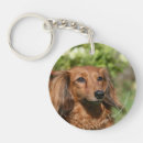 Search for dachshund long haired key rings Bob and pam langrish