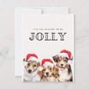 Search for tis season to be jolly cards Dog