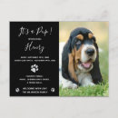 Search for adopt horizontal postcards Modern
