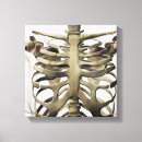 Search for digitally generated image canvas prints Medical